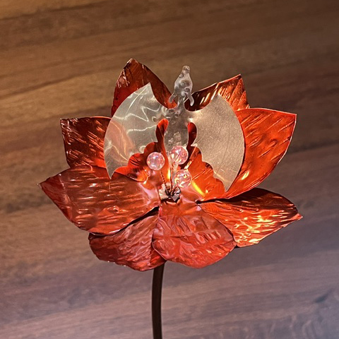 Baby Dragon Flower - Image 17