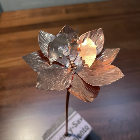 Baby Dragon Flower - Image 5