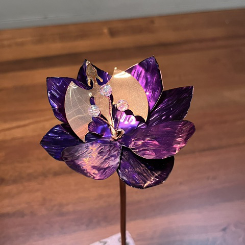 Baby Dragon Flower - Image 6